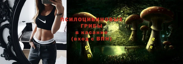 МДПВ Майский