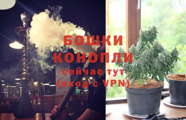 дурь Магас