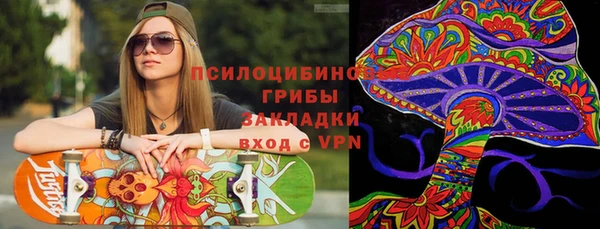 дурь Магас