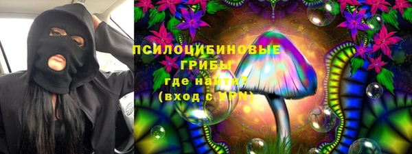 дурь Магас