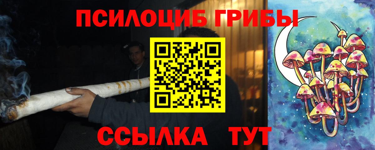 Юрга  Псилоцибиновые грибы MAGIC MUSHROOMS  Вход с VPN  Псилоцибиновые грибы мухоморы 