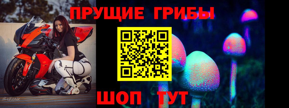 Галлюциногенные грибы MAGIC MUSHROOMS Юрга
